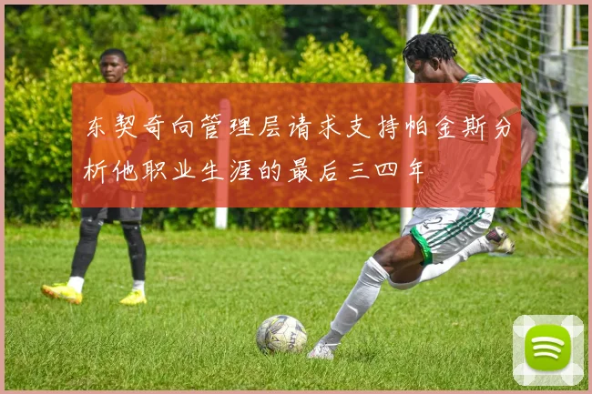 东契奇向管理层请求支持帕金斯分析他职业生涯的最后三四年